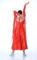 Ladies Ballroom Modern Waltz Tango Dance Dress-Over all dress-Red#MDL114076