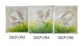 3 Panel Abstract Decoration Oil Painting Combination 50*60cm Flowers Scenery Art Picture Modern Oil Canvas Painting Decorative#061793-4-6