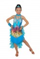 Girls/Lady Latin salsa cha cha tango Ballroom Dance Dress-Over all 4sets-sequins+Tail yarn tyles