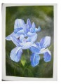 Beautiful flowers impressionism Still life paintings-60*90cm unframed Canvas Oil painting#061655