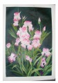  Beautiful flowers figurative painting-60*90cm unframed Canvas Oil painting#061642